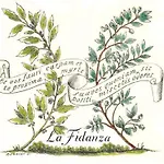La Fidanza * San Gimignano