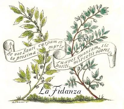 La Fidanza * San Gimignano